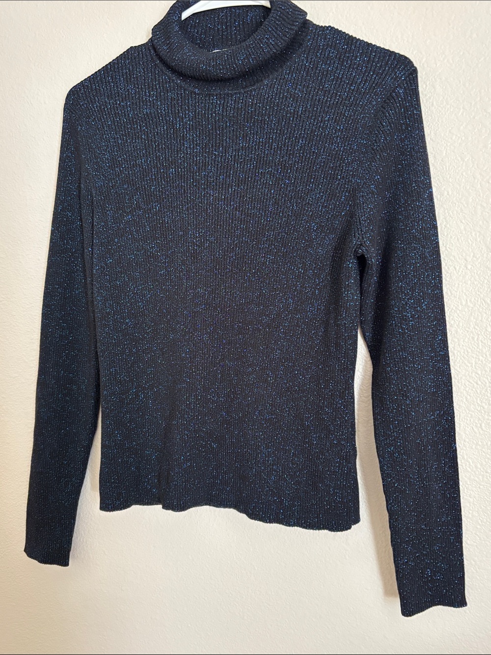 Rena Rowan Sparkly Blue and Black Long Sleeve Turtle Neck